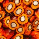 Posle ruzmarina, na scenu stupa batana ulje: Da li zaslužuje etiketu „miracle hair oil“?