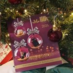 Stigao je Lilly novogodišnji katalog – jubilarno izdanje donosi sjajne popuste!